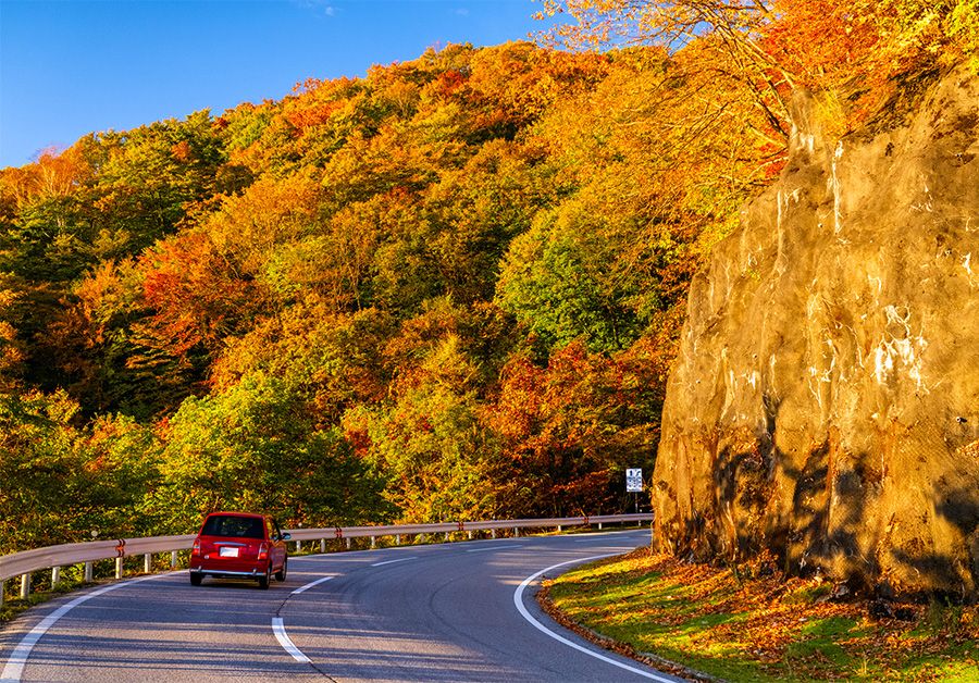 Tochigi Nikko sightseeing model course 1 night 2 days car tour Family & children's spots Autumn leaves Drive