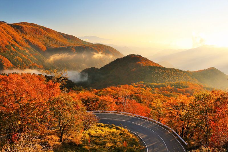 Autumn Nikko sightseeing│When is the best time to see autumn leaves? 3 recommended activities, leisure, experiences, and fun!