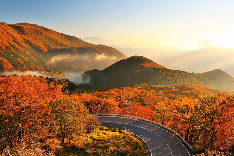 秋天季陽光觀光｜什麼時候看紅葉最好？ 3項推薦活動，休閒、體驗、好玩！