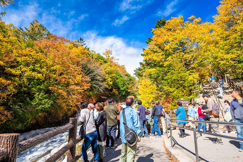 Autumn Nikko sightseeing│When is the best time to see autumn leaves? 3 recommended activities, leisure, experiences, and fun!