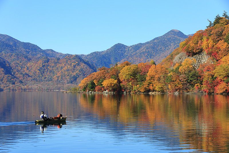 秋天季陽光觀光｜什麼時候看紅葉最好？ 3項推薦活動，休閒、體驗、好玩！