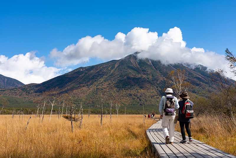 What are the attractions and highlights of Senjogahara? We introduce recommended hiking trails where you can enjoy history and nature!