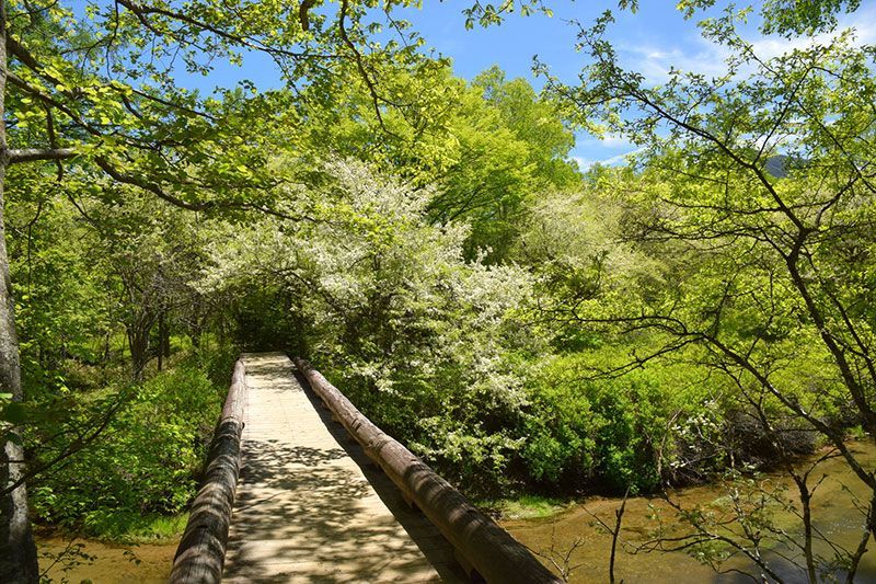 What are the attractions and highlights of Senjogahara? We introduce recommended hiking trails where you can enjoy history and nature!