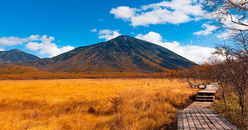 What are the attractions and highlights of Senjogahara? We introduce recommended hiking trails where you can enjoy history and nature!