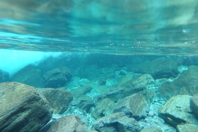 The riverbed of the Niyodo River in Kochi Prefecture