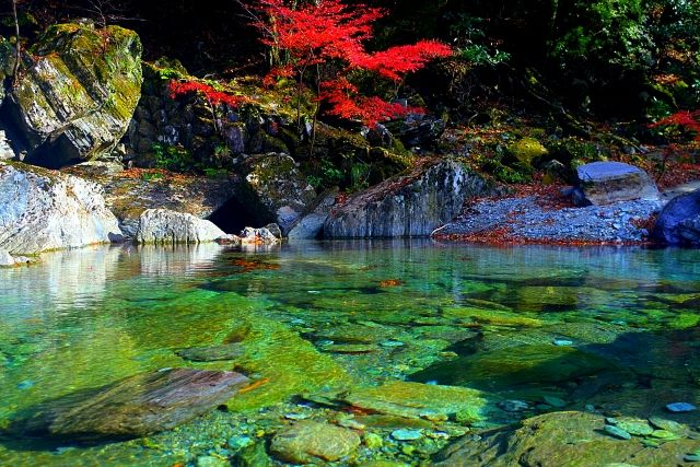 The Niyodo River in Kochi Prefecture in autumn