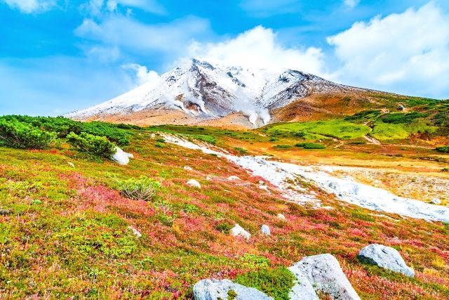 홋카이도 도호쿠 추천 관광 명소 다이세츠야마 국립공원 아사히다케