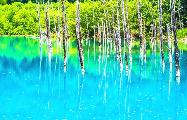 홋카이도 도호쿠 추천 관광지 “시로가네 푸른 연못”