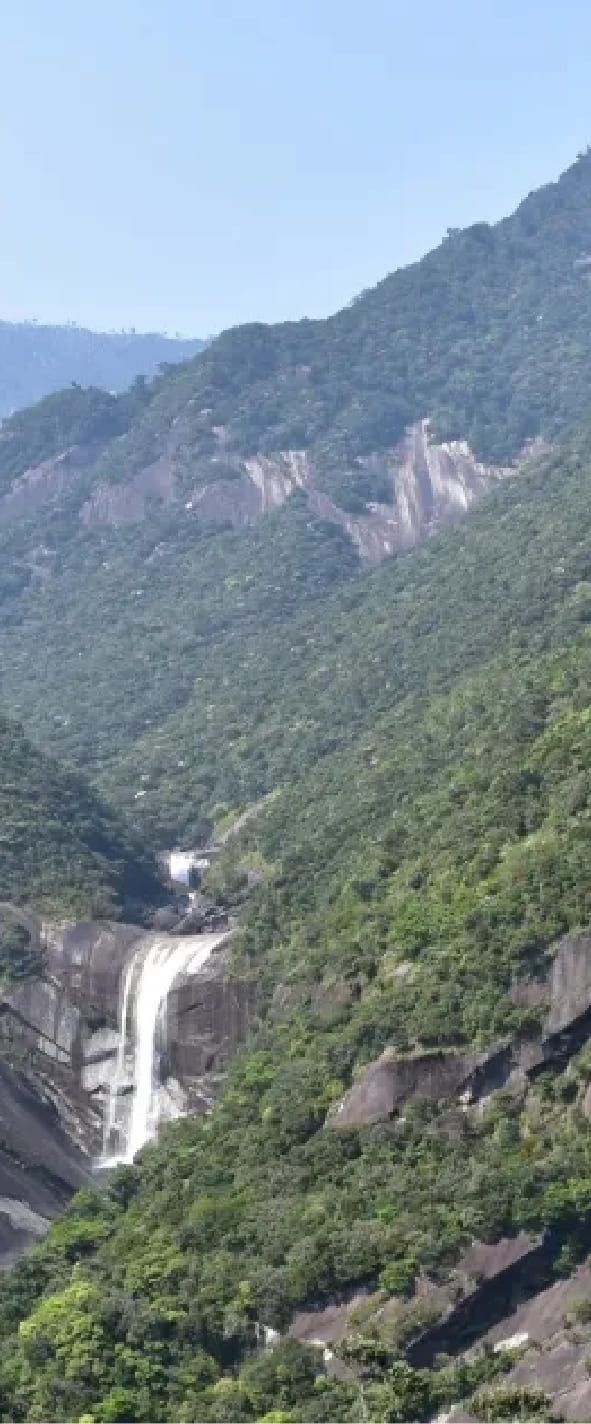Yakushima National Park