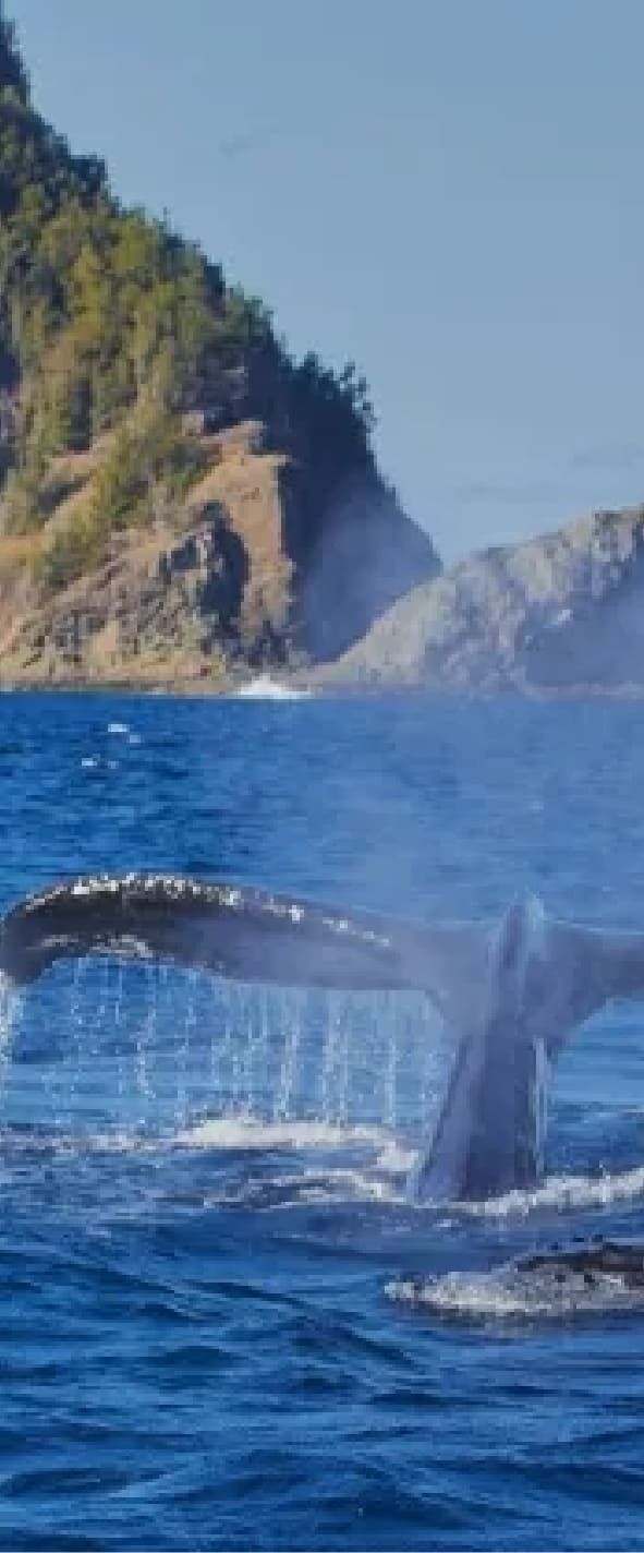 Ogasawara National Park