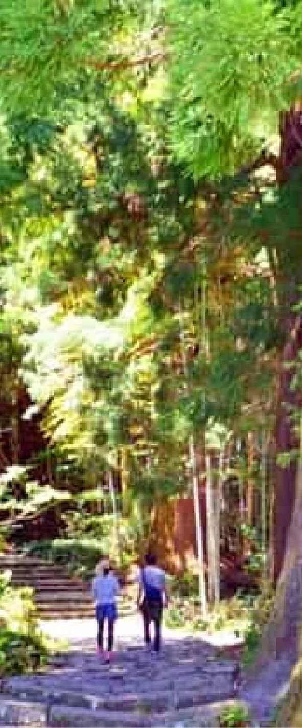 Yoshino-Kumano National Park