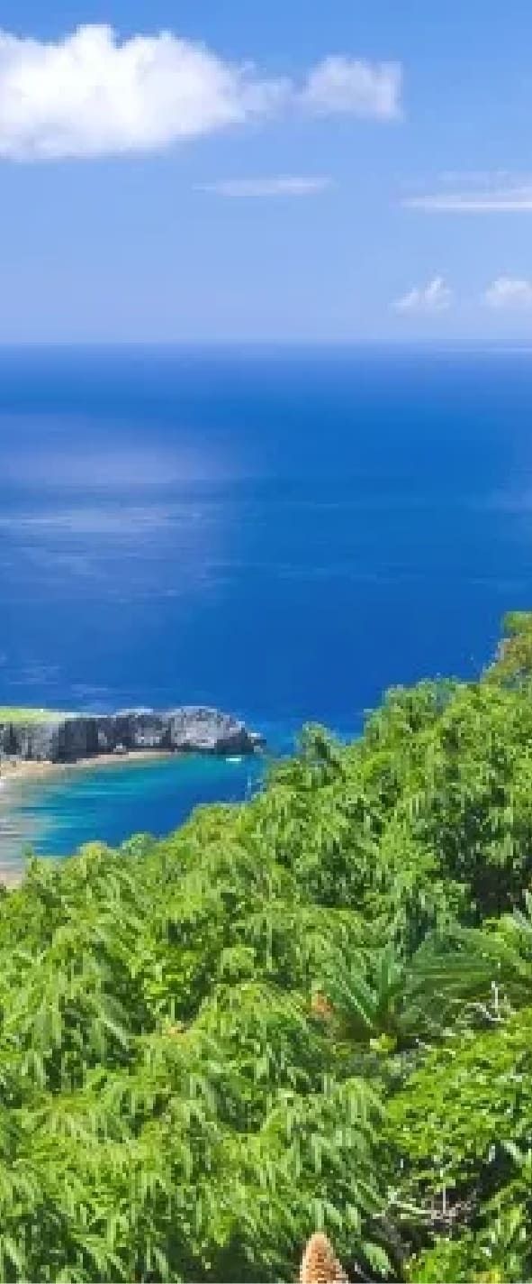 Yanbaru National Park