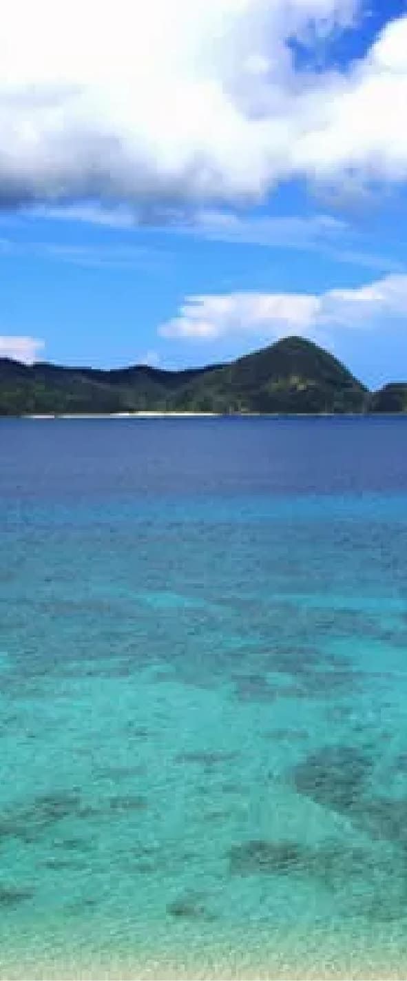 Amami Gunto National Park