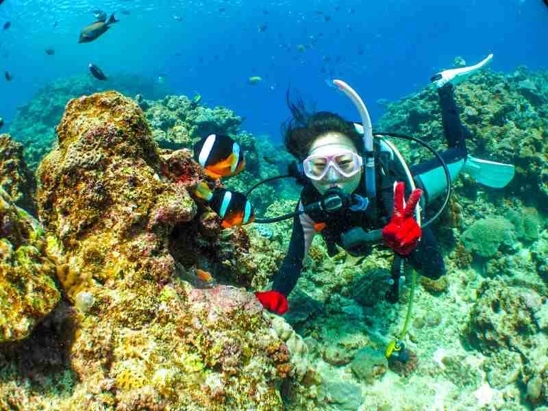 Okinawa is in the summer! diving