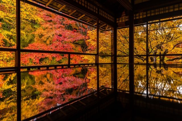 ใบไม้เปลี่ยนสีที่วัดรุริโคอิน จังหวัดเกียวโต