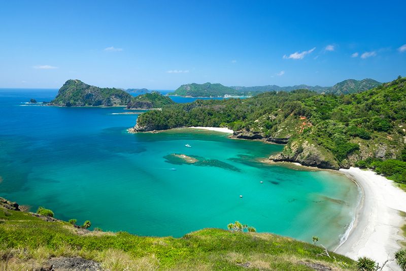 A comprehensive guide to getting to the Ogasawara Islands, prices, and popular tours!