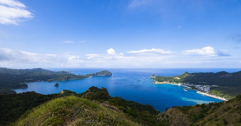 A comprehensive guide to how to get to the Ogasawara Islands, prices and popular tours!