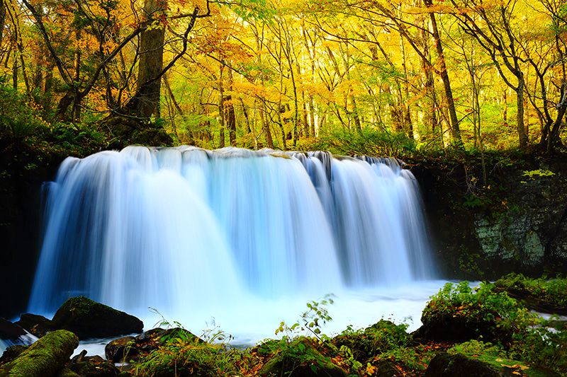 青森　奥入瀬渓流　紅葉　絶景スポット5選　銚子大滝　入瀬渓流内随一の滝　高さ7m　幅は2m　魚止めの滝　水しぶき　苔　滝と紅葉の壮観な景色