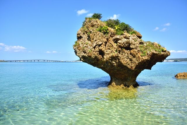 Okinawa East Coast Recommended Spots Hamahiga Island
