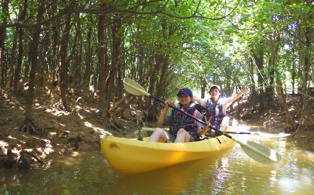 Okinawa "Amandaman" Couple enjoying mangrove canoeing on the Kesashi River