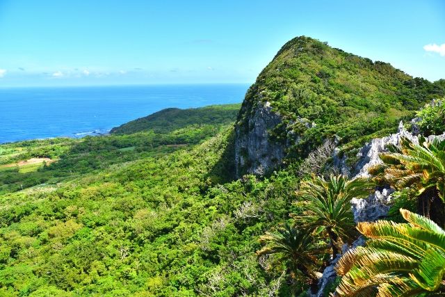 沖繩本島北方祕境大石林山風景