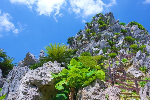 沖繩本島國頭村：隱密景點阿蘇姆伊健行/舊稱大石林山
