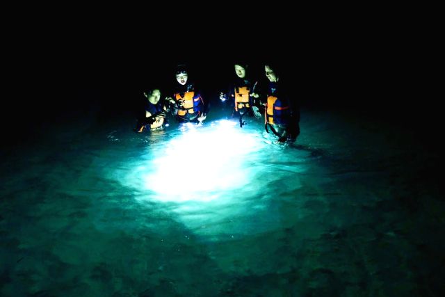 沖縄「ハーミットクラブ」　ないとシュノーケリングを楽しむ人々　夜光虫
