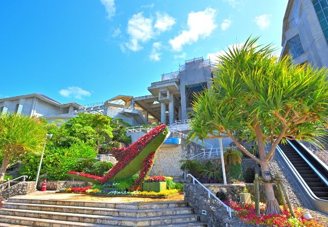 沖縄　海洋博公園　見どころ　美ら海水族館