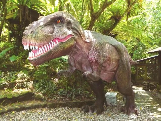 沖縄　子ども連れ　おすすめ観光スポット　「DINO恐竜PARK　やんばる亜熱帯の森」