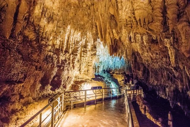 If you go to Okinawa, go to a mysterious limestone cave!