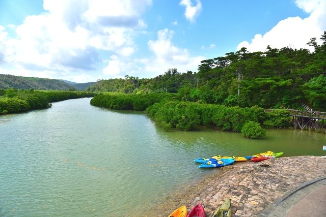 冲绳格萨西河红树林
