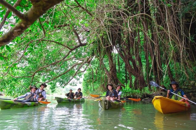 沖繩“Kayak Ease」 享受沖繩紅樹林皮划艇之旅的人們