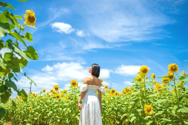 沖縄・宮古島「Aruto 宮古島カメラマン」 フォトツアー ひまわり 夏