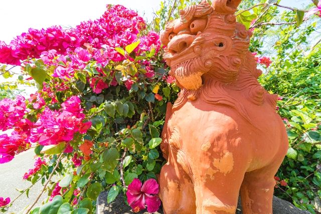 沖縄　シーサーとブーゲンビリア