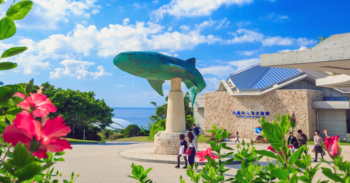 冲绳观光巴士旅游全攻略 | 那霸出发一日游和半日游推荐行程对比