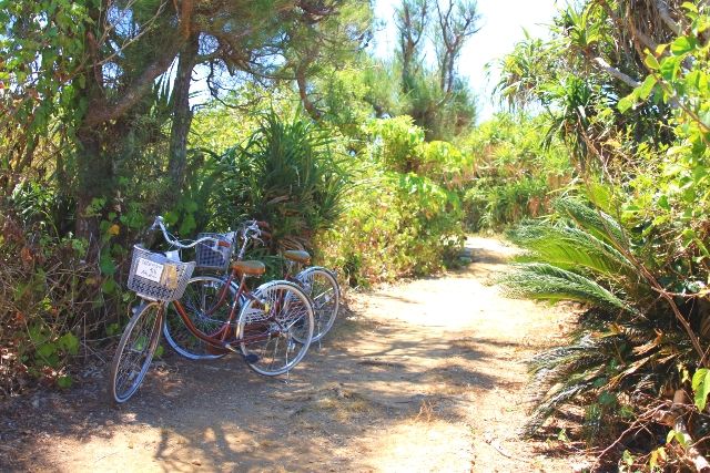 沖縄・南部　おすすめ観光スポット　久高島　サイクリング