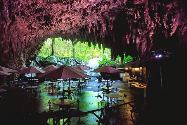 沖縄　ガンガラ―の谷