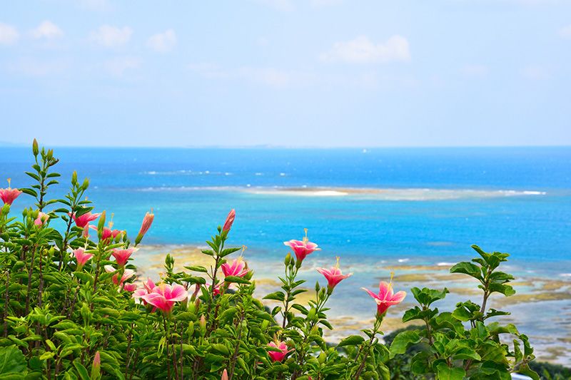 沖繩之旅必遊景點！熱門觀光、美食和活動排名