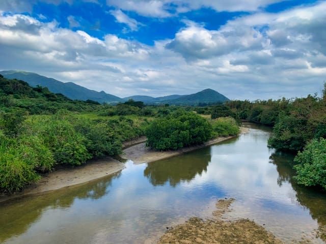 22年夏休み 家族向け 沖縄 おすすめアクティビティ 子供も喜ぶ 体験ツアー 選 アクティビティジャパン