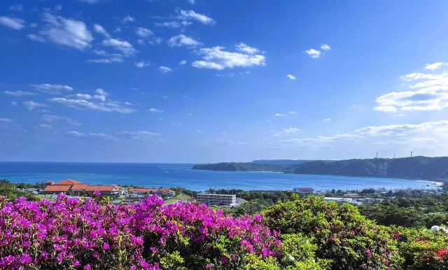 沖繩最佳日出觀賞點：東村村民森林