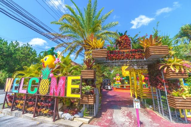 沖縄旅行　おすすめ　2歳児　ナゴパイナップルパーク