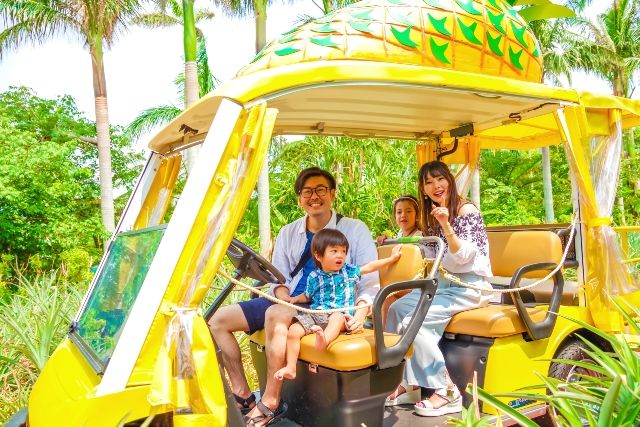 沖縄旅行　おすすめスポット　家族　ナゴパイナップルパーク　パイナップルトレイン