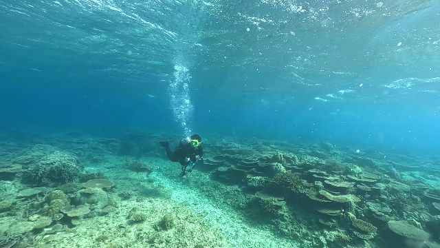沖繩“Tontondaibu」萬座毛 體驗潛水的人們