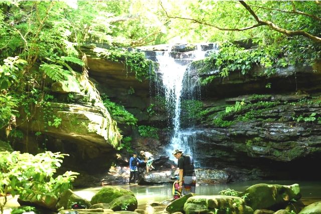 Summer Chama [Small group tour specialist] Iriomote Island sponsored Kura Falls trekking tour