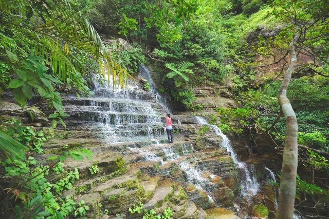 สนับสนุนโดย SlowTempoAdventureClub-IRIOMOTE-Geta Falls River Trekking