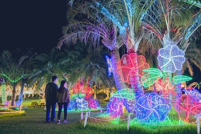 沖縄南国イルミネーション　東南植物楽園