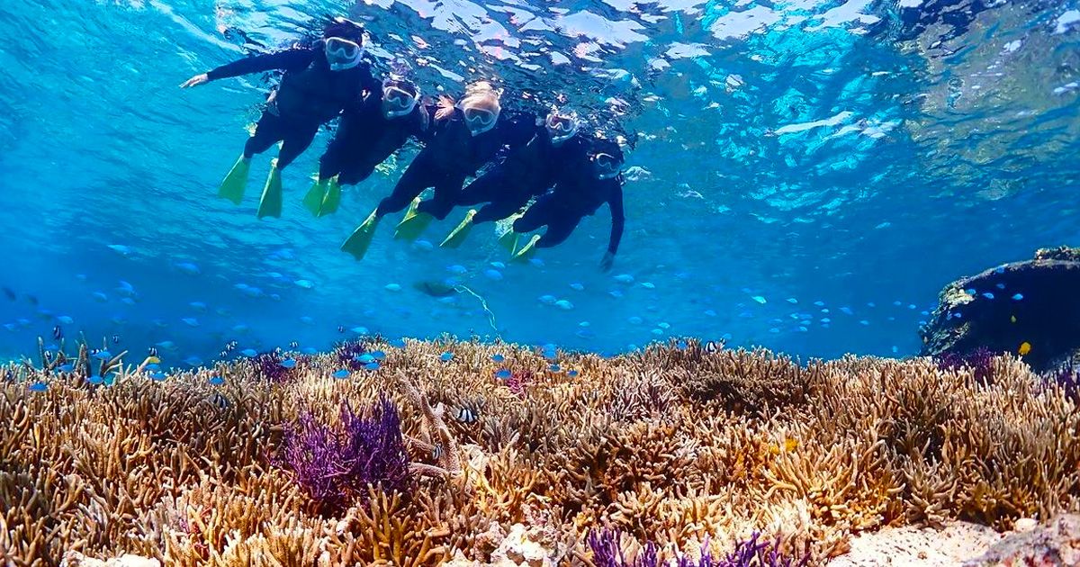 Okinawaで冬にsnorkelingするofは寒い？おすすめスポットは？of画像