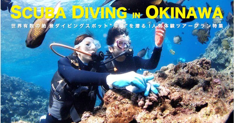 沖繩最好的潛水地點是哪裡？介紹適合初學者的體驗之旅和推薦的潛水店！