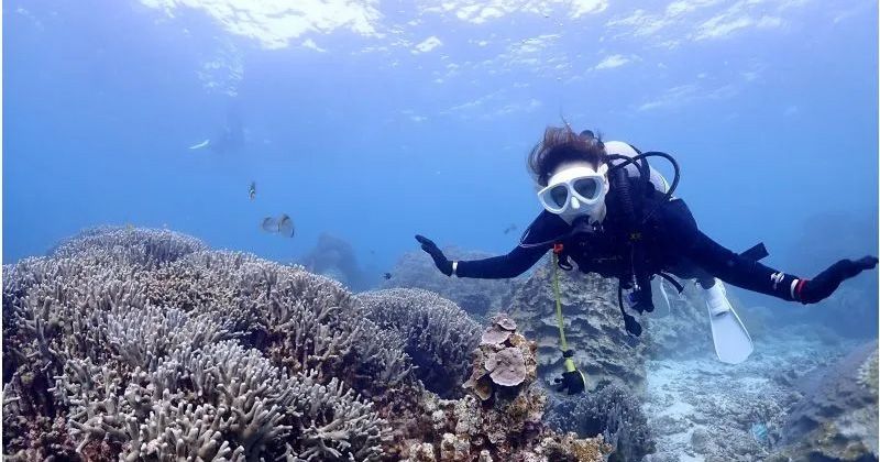 12月の沖縄ダイビング│水温は？寒い？予約おすすめ体験ツアーを徹底紹介！の画像