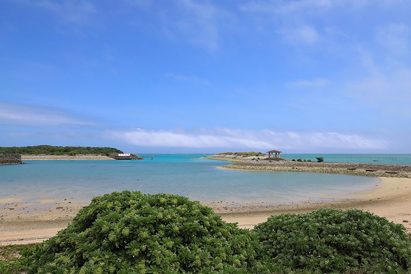 沖縄の釣りスポット│初心者向け釣り場を南部・中部・北部ごとに紹介！